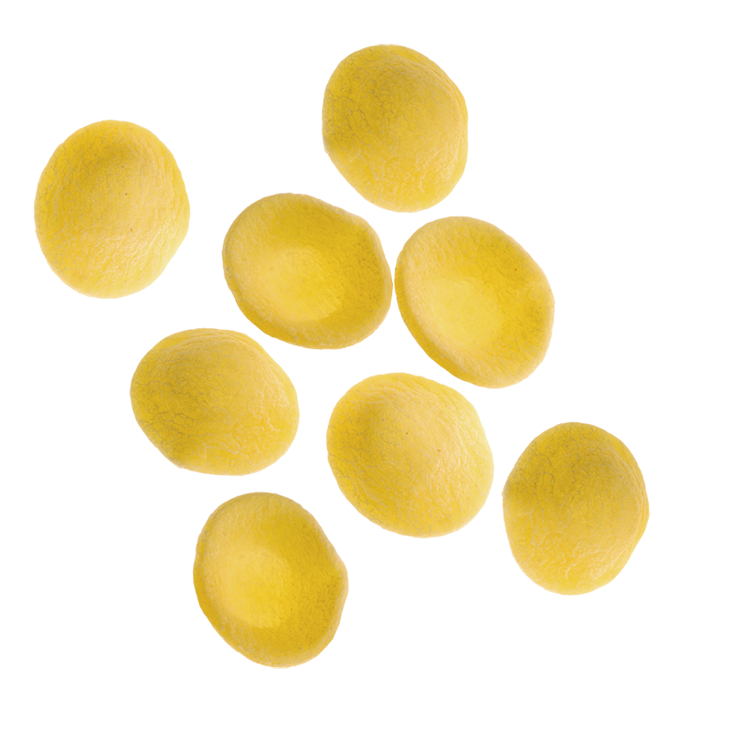 Giuseppe Cocco Orecchiette #A50, 500g (17.60 oz)