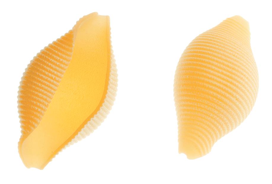 Giuseppe Cocco Conchiglioni #A96, 250g (8.80 oz)