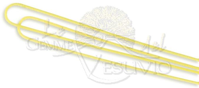 Le Gemme del Vesuvio, Bucatini, 500g