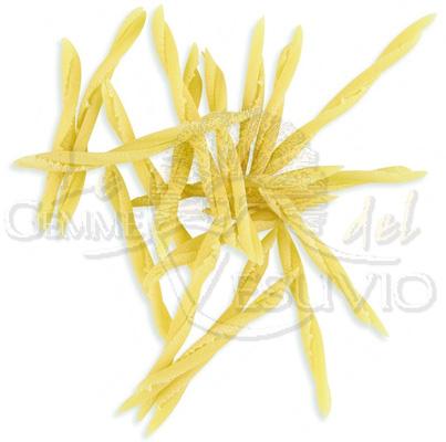 Le Gemme del Vesuvio, Trofie, 500g