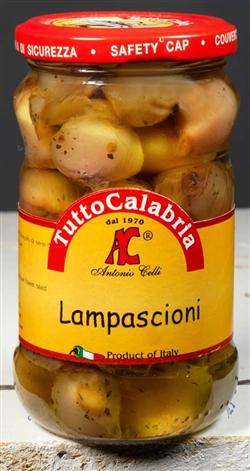 Tutto Calabria Lampascioni in oil, 10.2 oz Jar